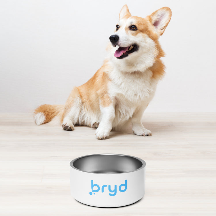 Bryd Pet Bowl
