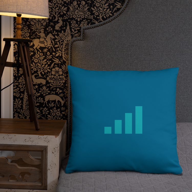 Datarati Pillow (Teal)