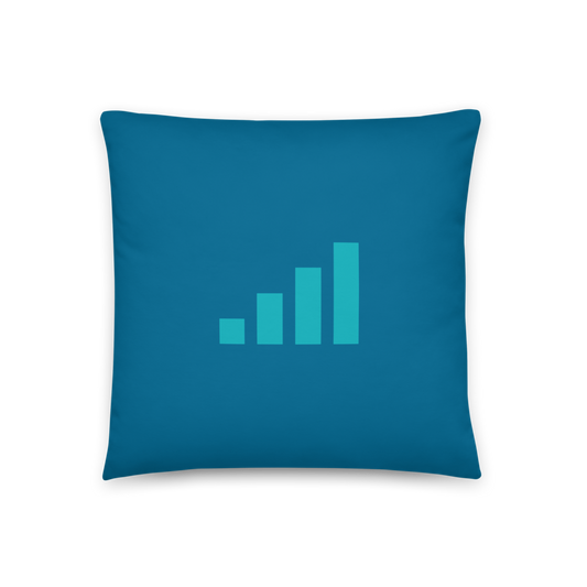 Datarati Pillow (Teal)