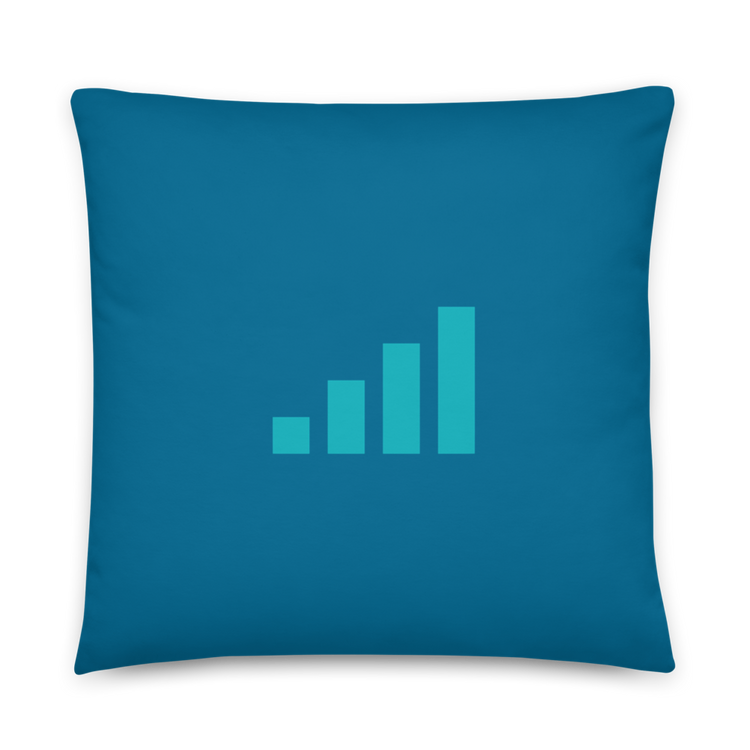 Datarati Pillow (Teal)